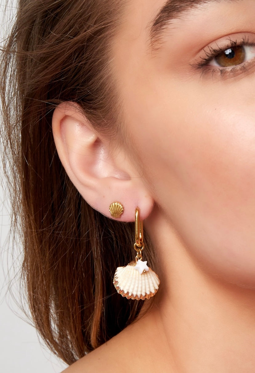 Shell Studs