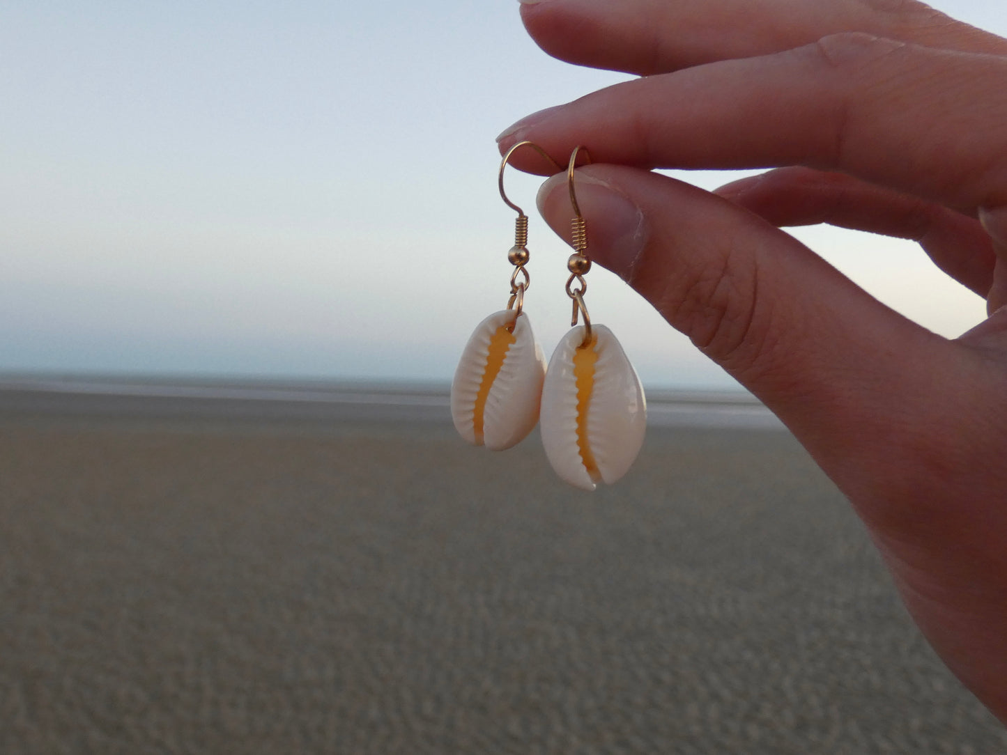 White Shell Earrings