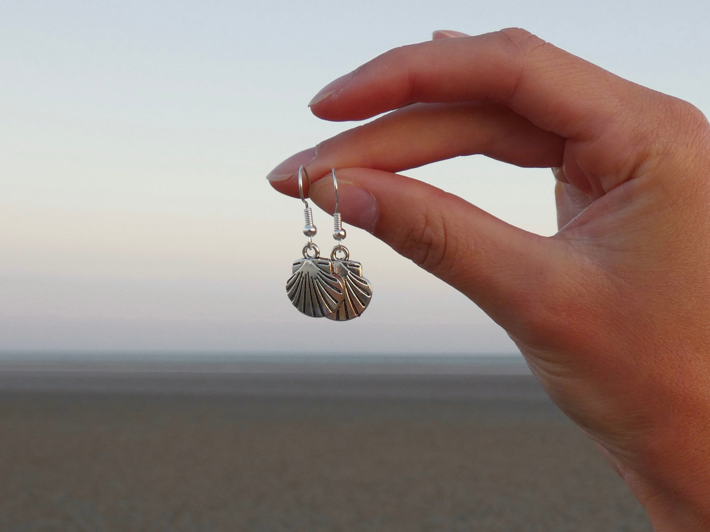 Silver Shell Earrings