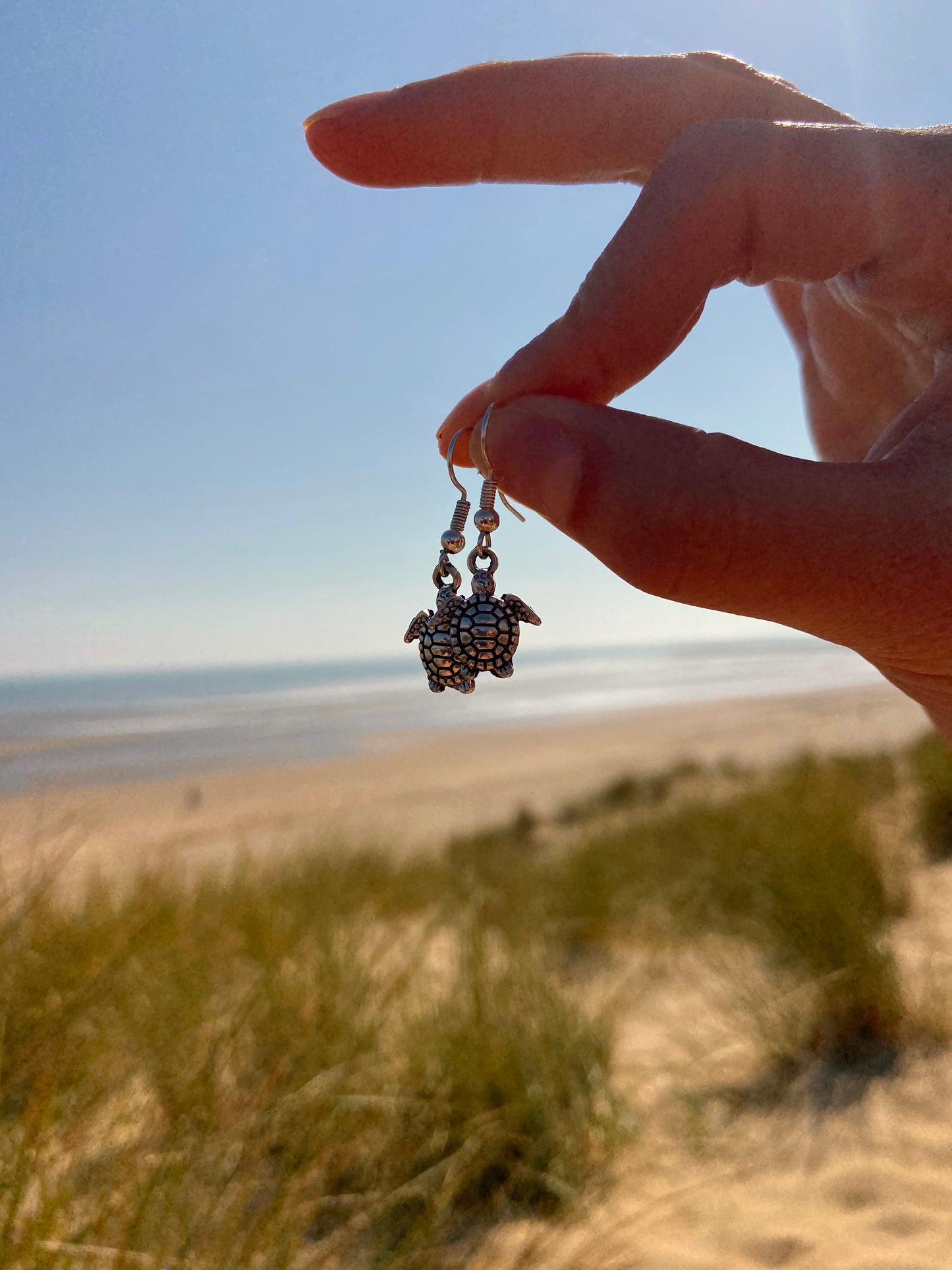 Silver Turtle Earrings