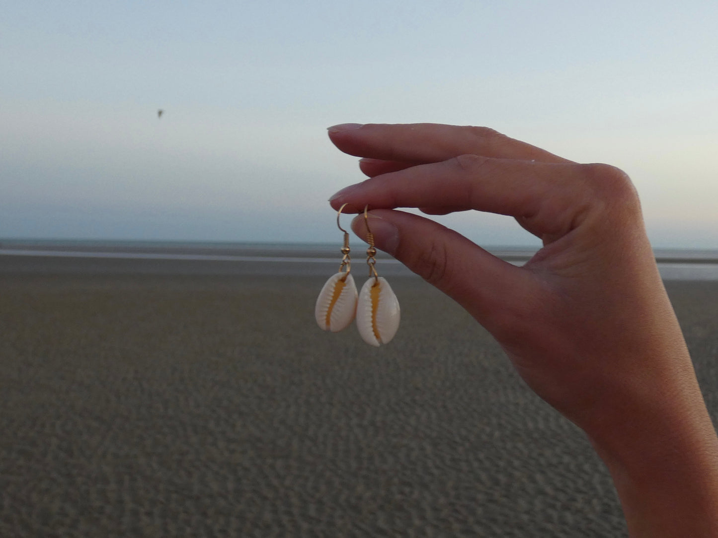 White Shell Earrings