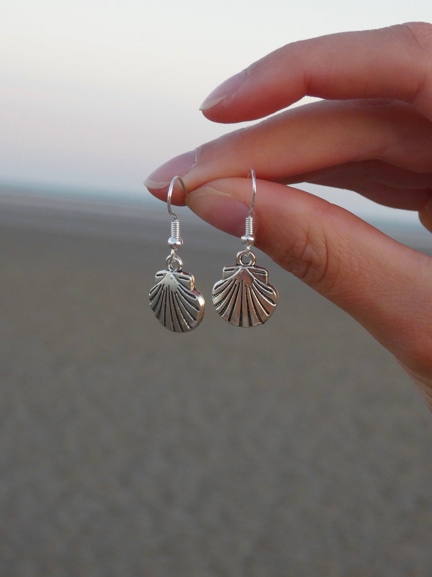 Silver Shell Earrings