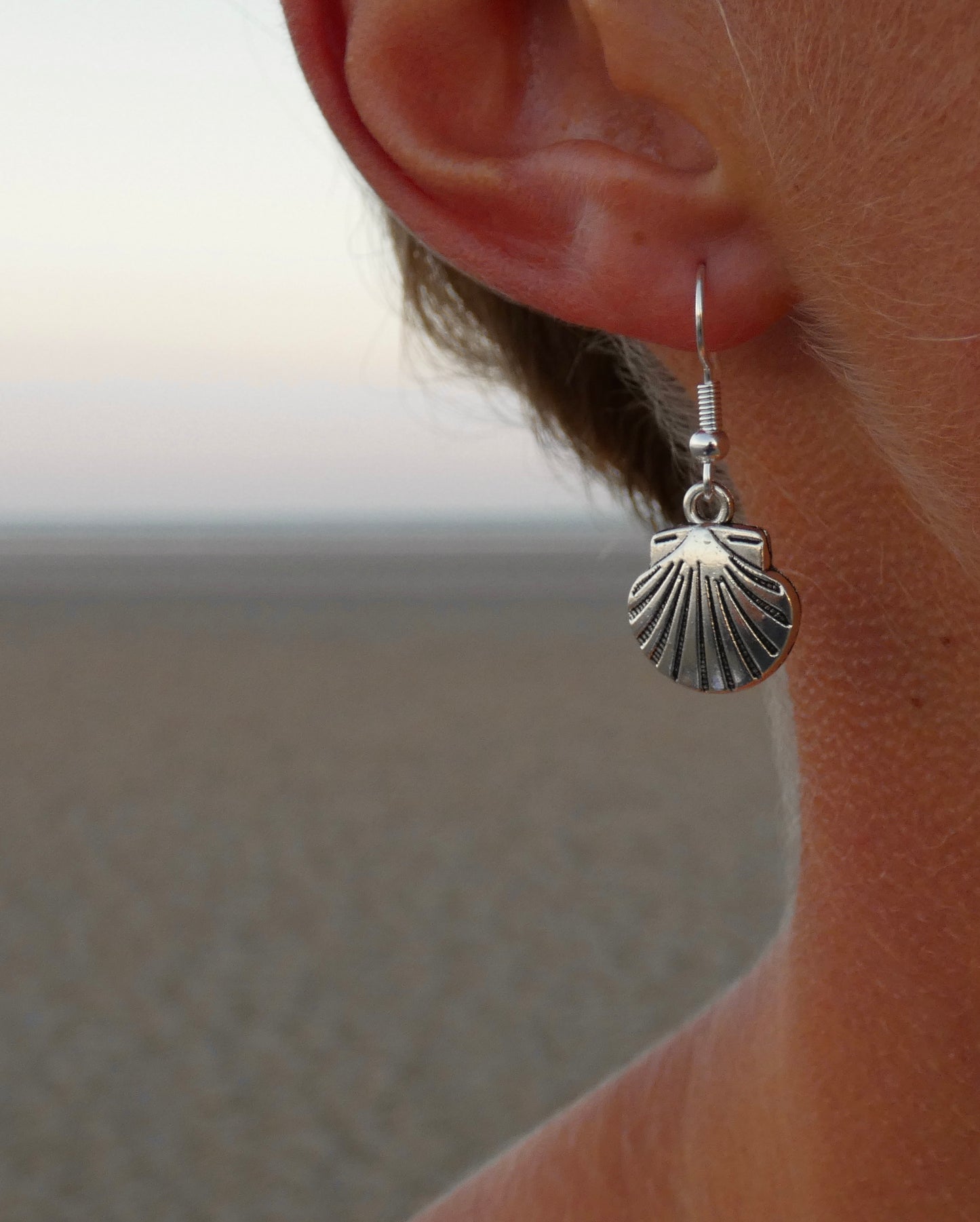 Silver Shell Earrings