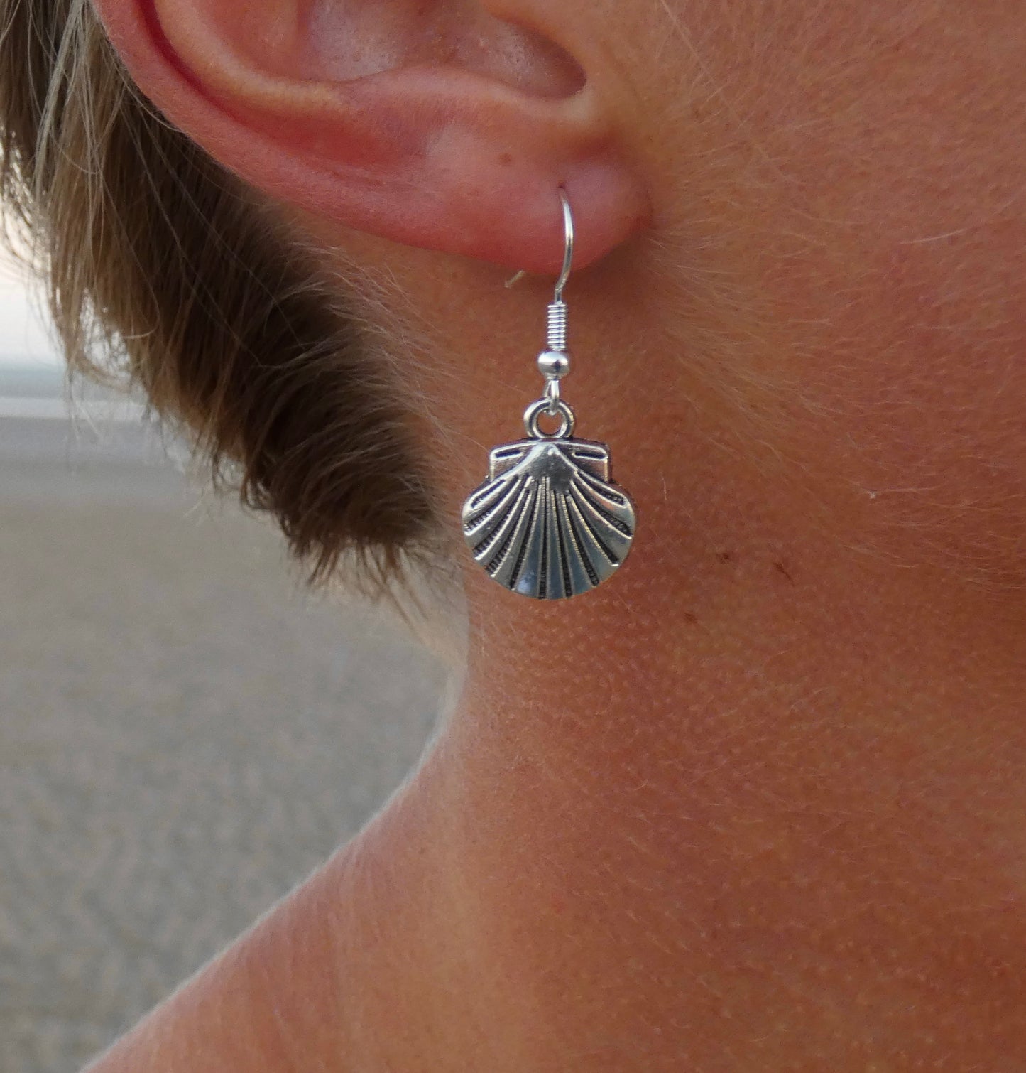 Silver Shell Earrings