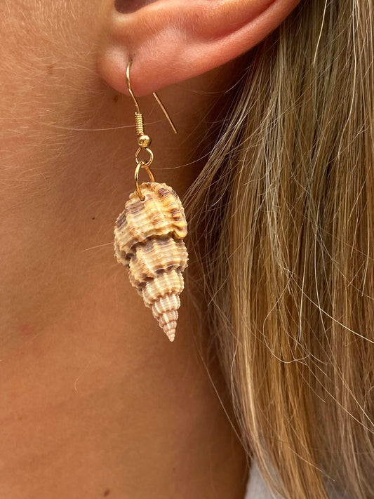 Sea Shell Earrings